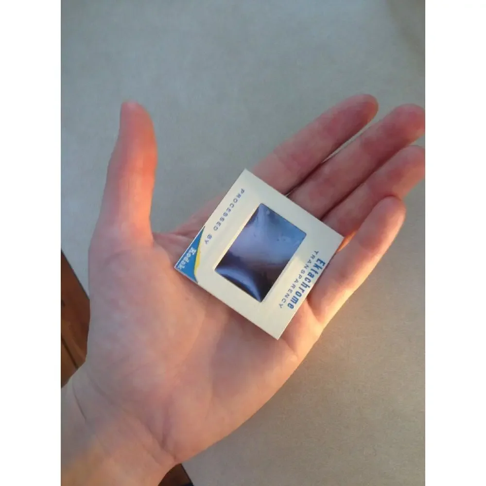 Lot of 2 Vintage 1970 Man Feeding Sea Gulls Ektachrome Photographs Color Slides